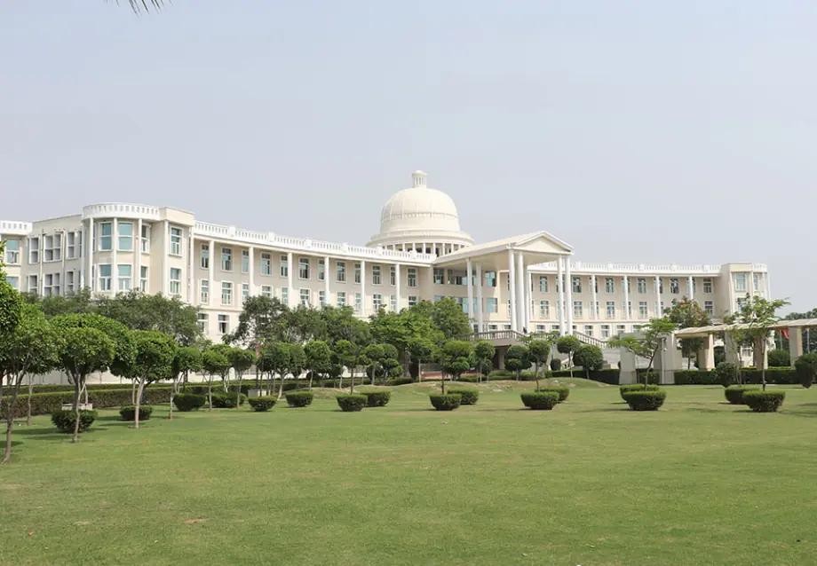 Noida International University