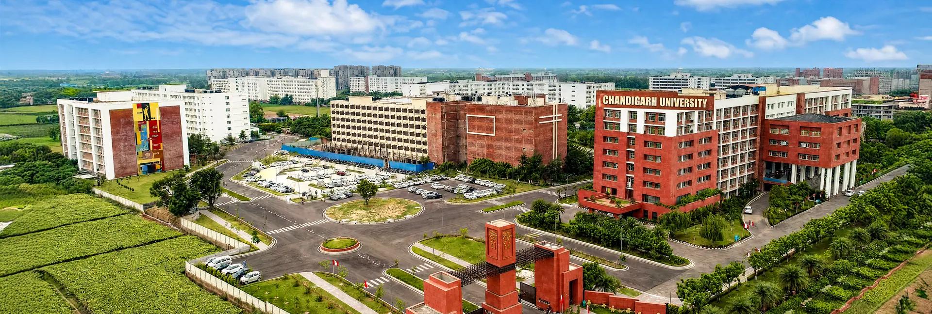 Online BBA in Healthcare Management
