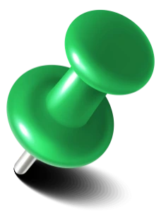 pin